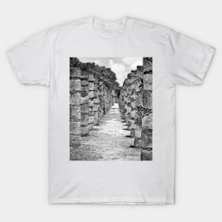 1000 Columns T-Shirt